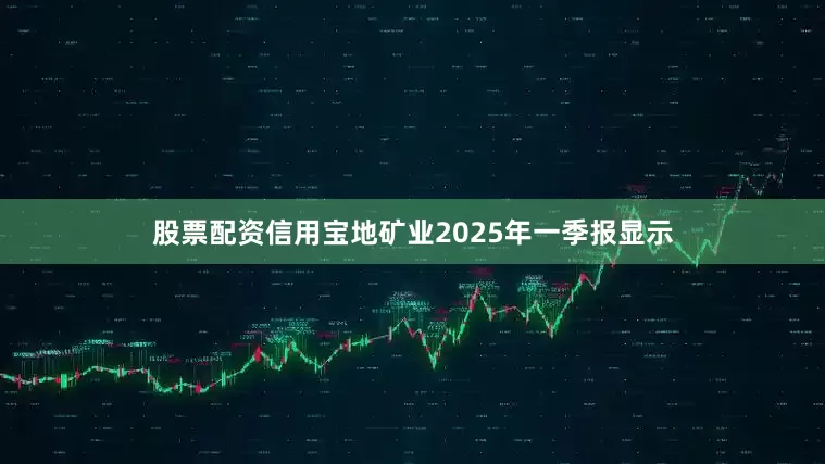 股票配资信用宝地矿业2025年一季报显示
