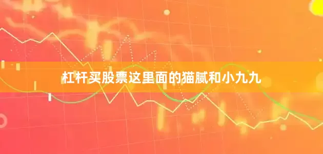 杠杆买股票这里面的猫腻和小九九